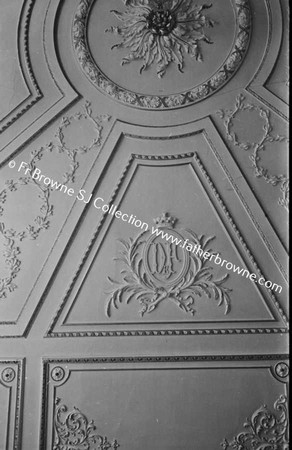 FRENCHPARK THE HOUSE DRAWING ROOM CEILING DETAIL (BADLY CENTRED)